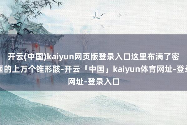 开云(中国)kaiyun网页版登录入口这里布满了密密匝匝的上万个锥形骸-开云「中国」kaiyun体育网址-登录入口