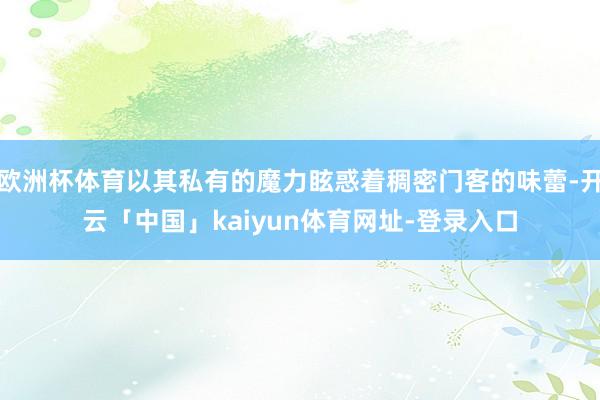 欧洲杯体育以其私有的魔力眩惑着稠密门客的味蕾-开云「中国」kaiyun体育网址-登录入口