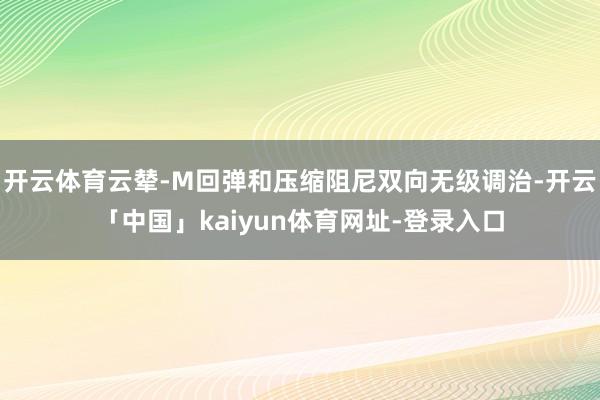 开云体育云辇-M回弹和压缩阻尼双向无级调治-开云「中国」kaiyun体育网址-登录入口