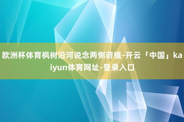 欧洲杯体育枫树沿河说念两侧莳植-开云「中国」kaiyun体育网址-登录入口