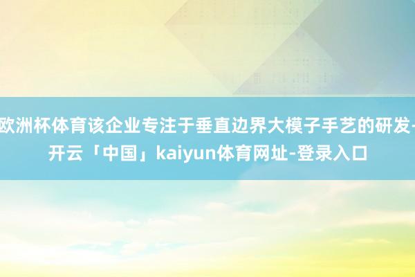 欧洲杯体育该企业专注于垂直边界大模子手艺的研发-开云「中国」kaiyun体育网址-登录入口