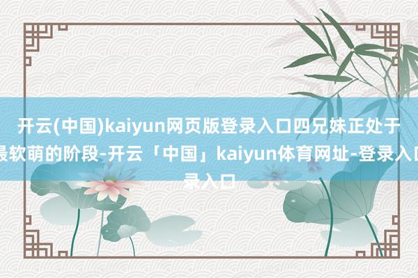 开云(中国)kaiyun网页版登录入口四兄妹正处于最软萌的阶段-开云「中国」kaiyun体育网址-登录入口