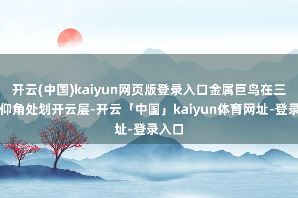 开云(中国)kaiyun网页版登录入口金属巨鸟在三十度仰角处划开云层-开云「中国」kaiyun体育网址-登录入口