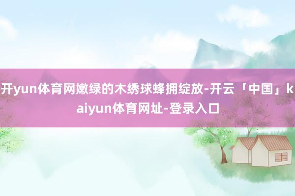 开yun体育网嫩绿的木绣球蜂拥绽放-开云「中国」kaiyun体育网址-登录入口