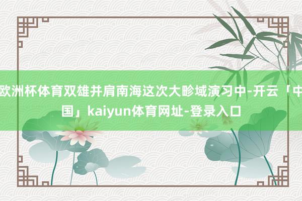 欧洲杯体育双雄并肩南海这次大畛域演习中-开云「中国」kaiyun体育网址-登录入口