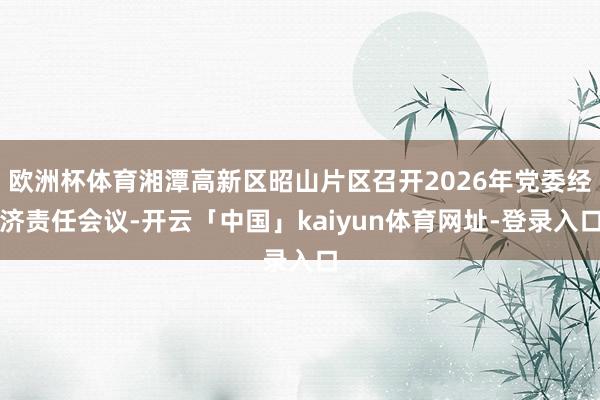 欧洲杯体育湘潭高新区昭山片区召开2026年党委经济责任会议-开云「中国」kaiyun体育网址-登录入口