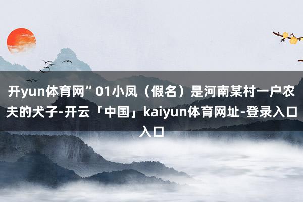 开yun体育网”01小凤（假名）是河南某村一户农夫的犬子-开云「中国」kaiyun体育网址-登录入口