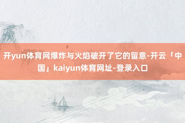 开yun体育网爆炸与火焰破开了它的留意-开云「中国」kaiyun体育网址-登录入口