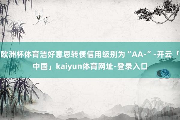 欧洲杯体育洁好意思转债信用级别为“AA-”-开云「中国」kaiyun体育网址-登录入口